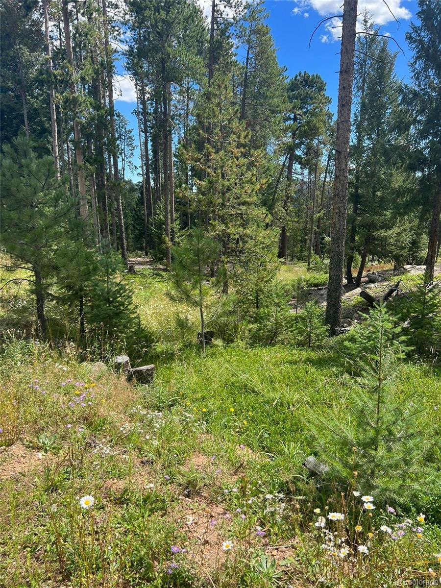 MLS Image #46 for 8699  blue creek road,evergreen, Colorado