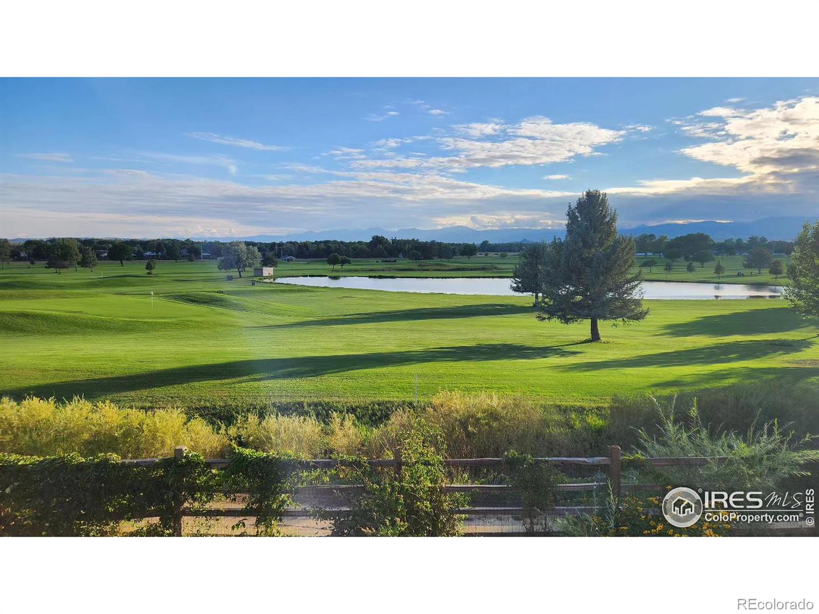 CMA Image for 1143  Purdue Drive,Longmont, Colorado