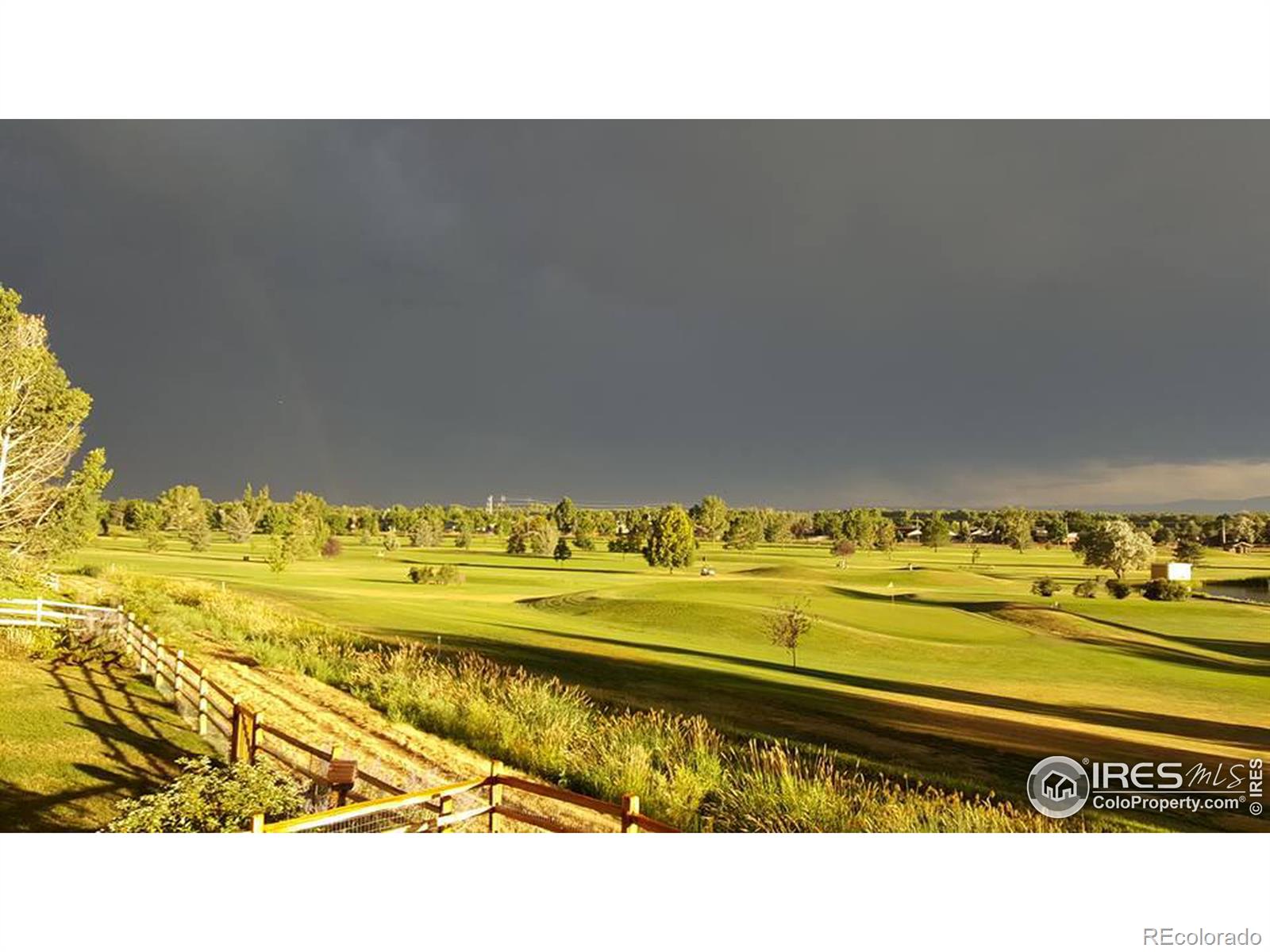 MLS Image #6 for 1143  purdue drive,longmont, Colorado