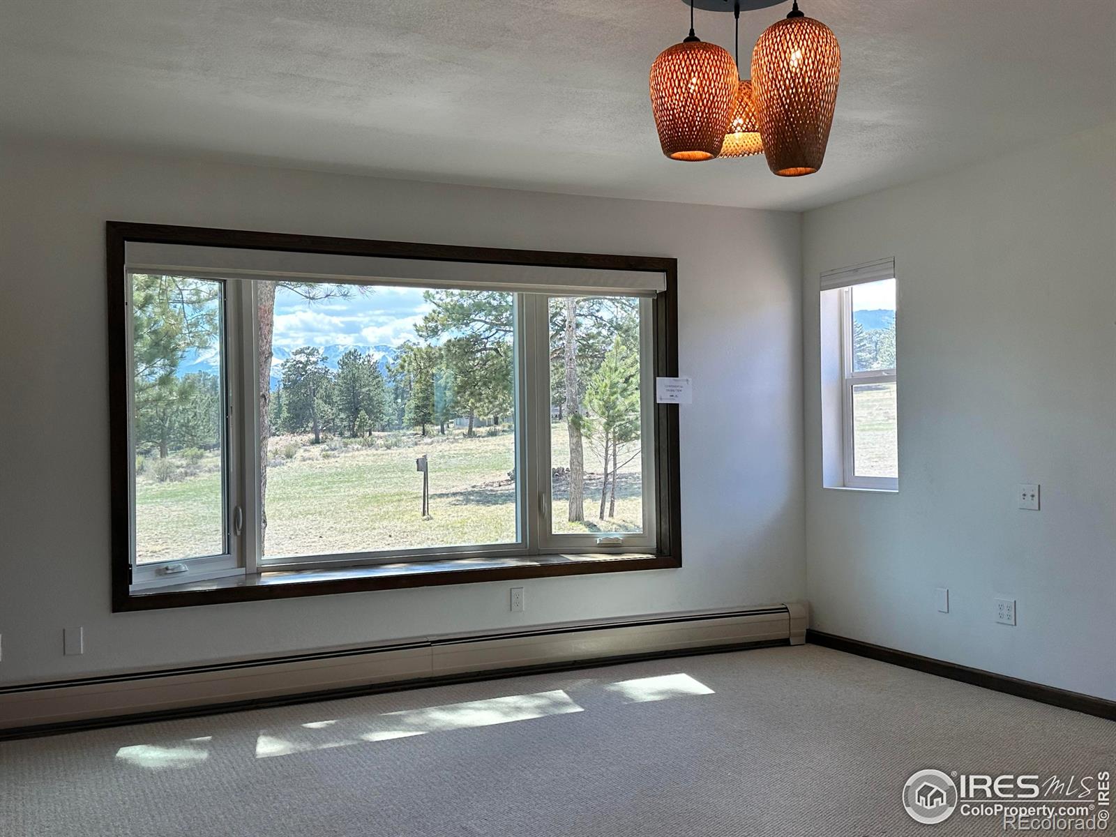 MLS Image #19 for 871  east lane,estes park, Colorado