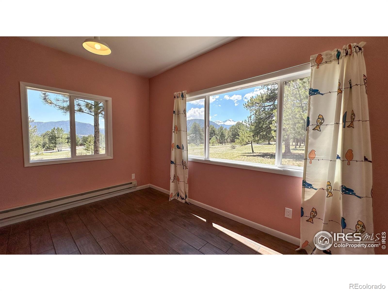 MLS Image #31 for 871  east lane,estes park, Colorado
