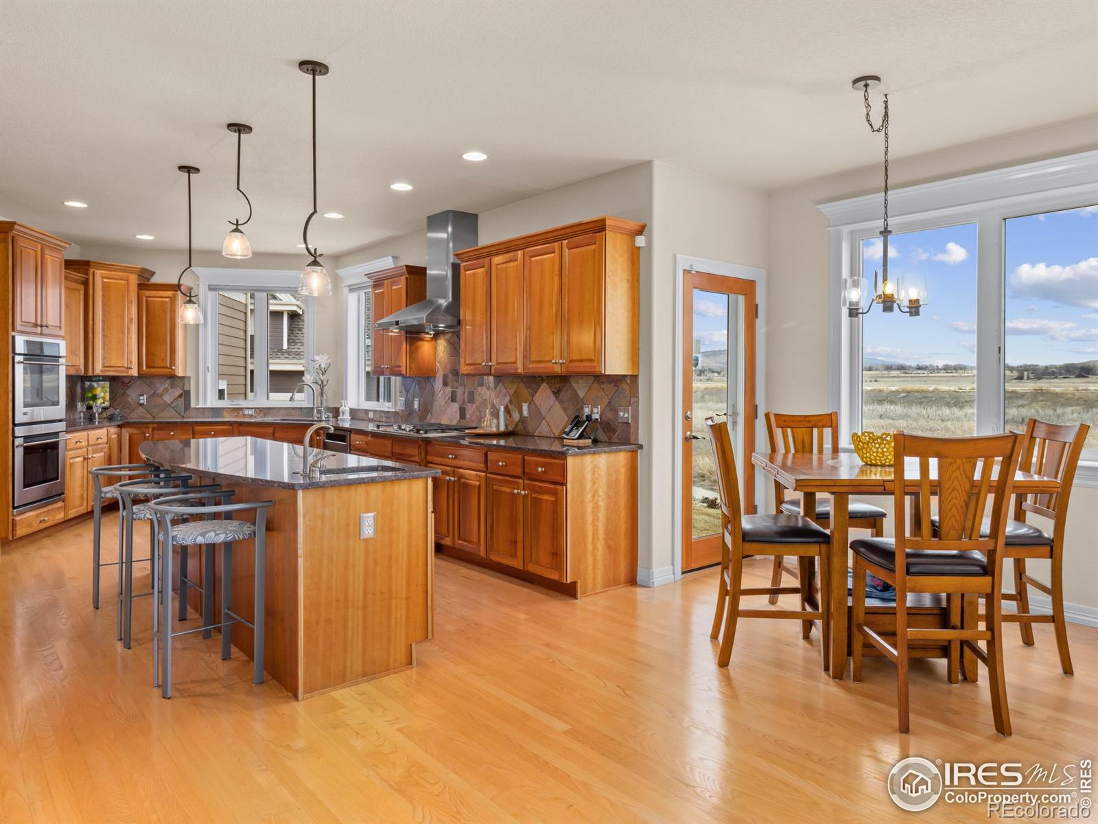 MLS Image #3 for 3916  fowler lane,longmont, Colorado