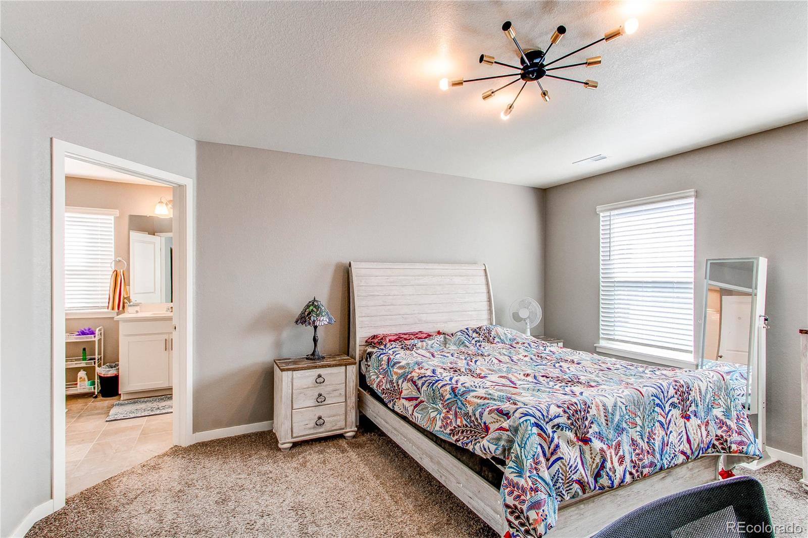 MLS Image #15 for 17412  rose mallow street,parker, Colorado