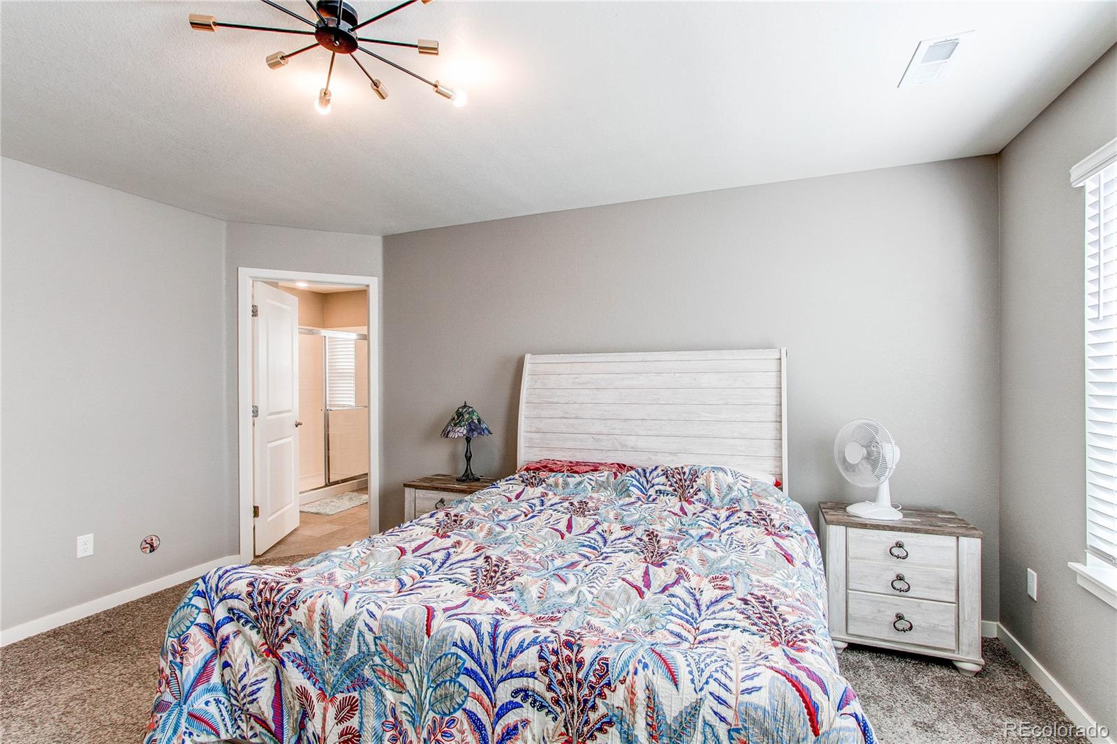 MLS Image #16 for 17412  rose mallow street,parker, Colorado