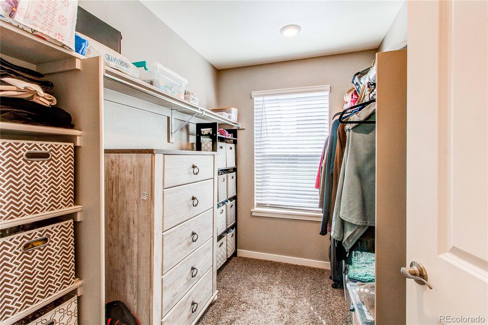 MLS Image #19 for 17412  rose mallow street,parker, Colorado