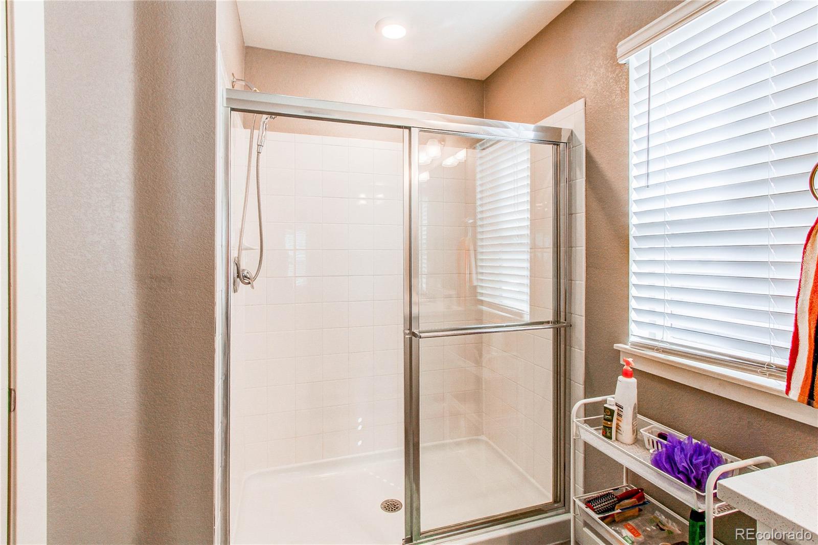 MLS Image #20 for 17412  rose mallow street,parker, Colorado