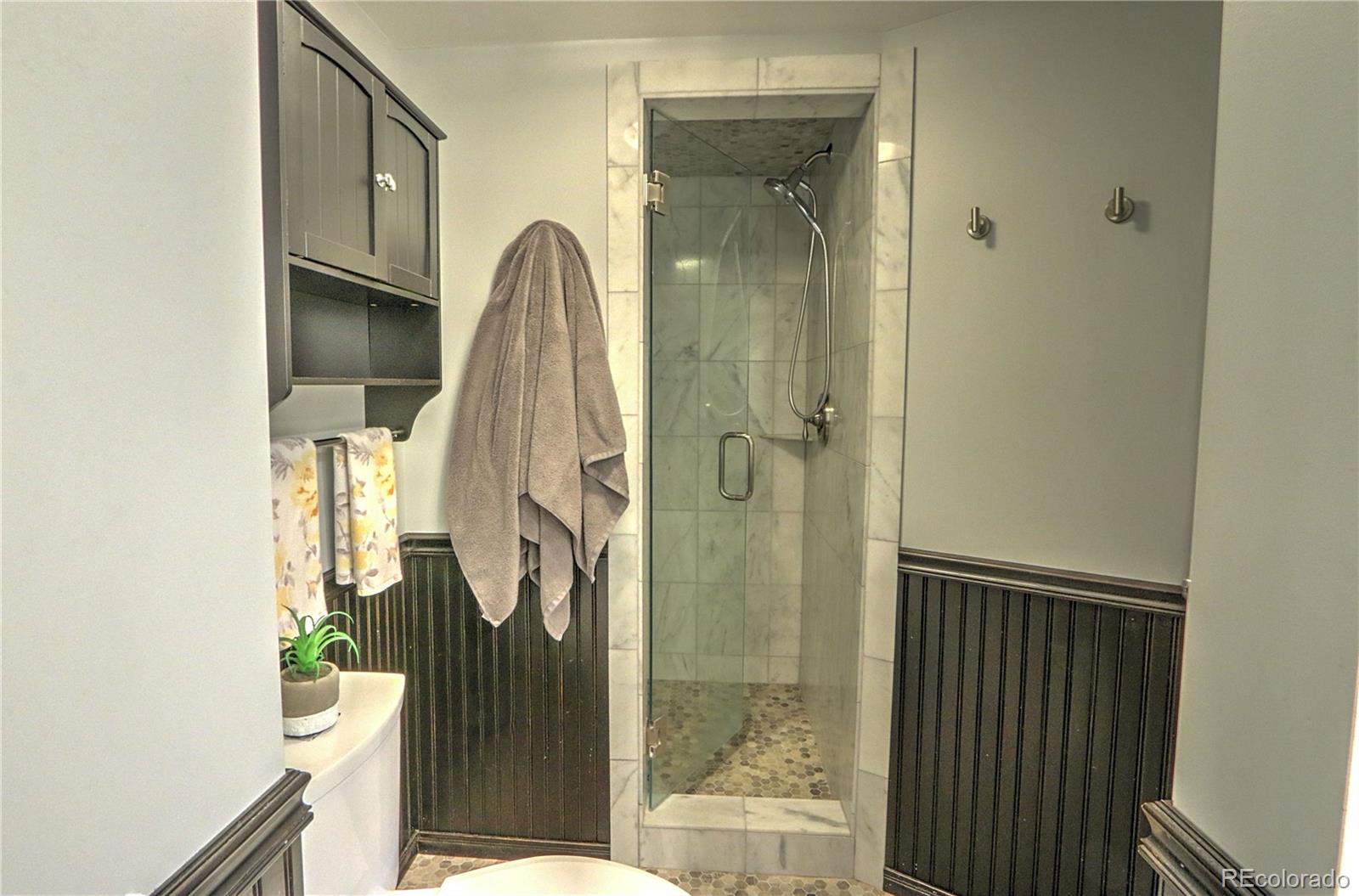 MLS Image #18 for 611 w 12th street,glenwood springs, Colorado