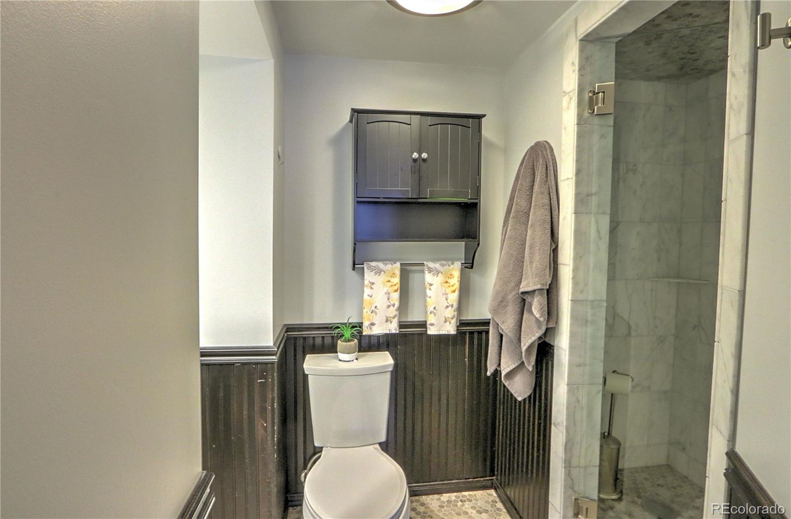 MLS Image #19 for 611 w 12th street,glenwood springs, Colorado