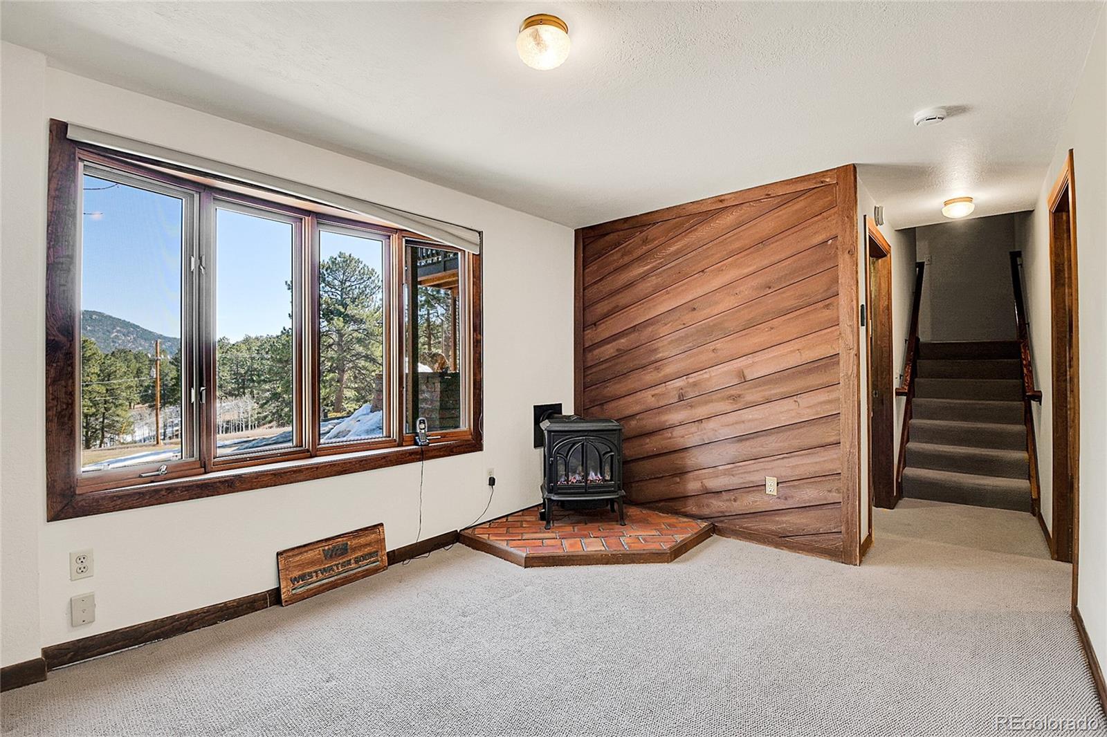 MLS Image #26 for 29571  dorothy road,evergreen, Colorado