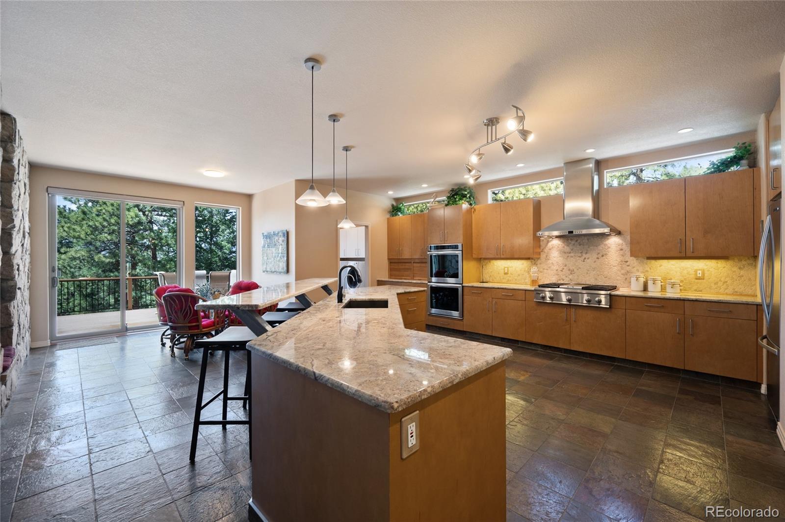 MLS Image #10 for 23  hess avenue,golden, Colorado