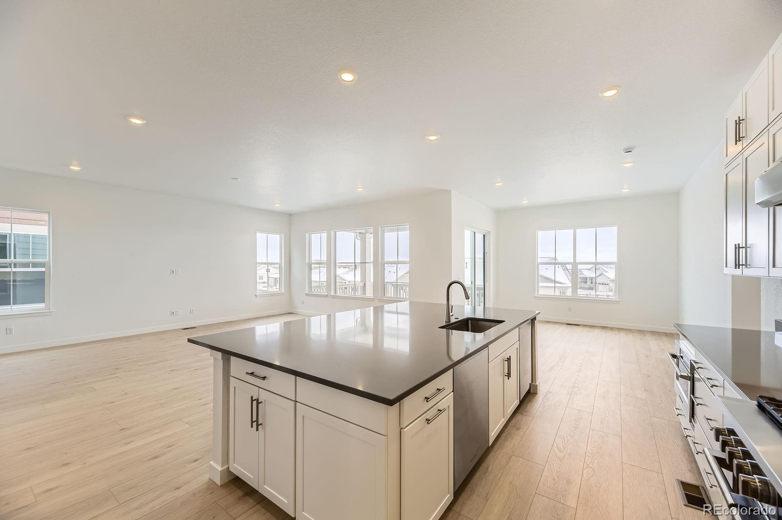 MLS Image #3 for 3929  treadway point,castle rock, Colorado