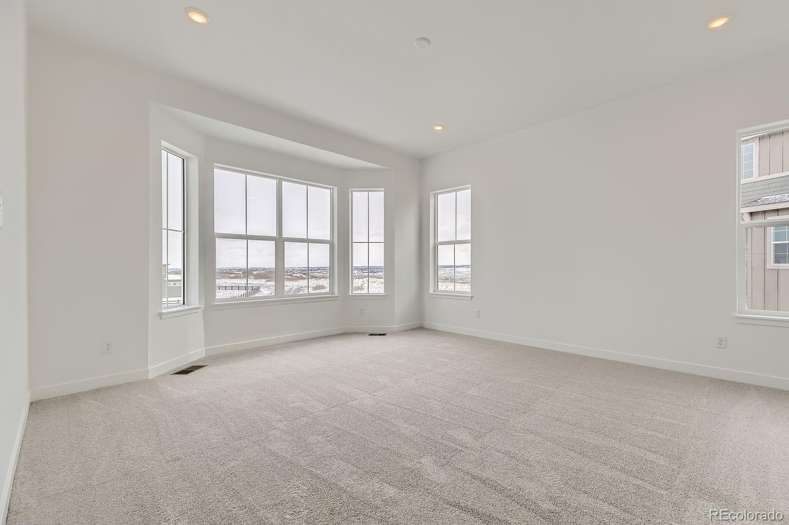 MLS Image #6 for 3929  treadway point,castle rock, Colorado