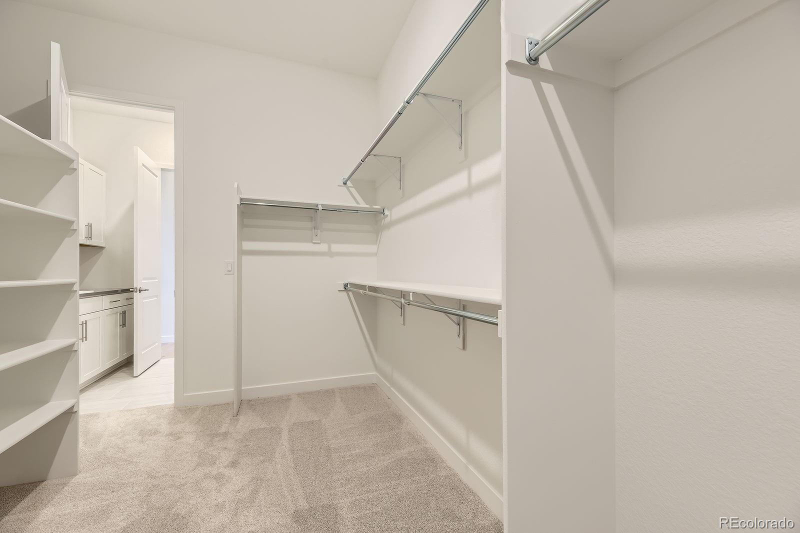 MLS Image #9 for 3929  treadway point,castle rock, Colorado