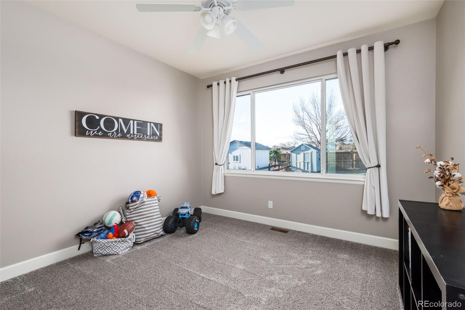 MLS Image #17 for 3685  roberts street,mead, Colorado