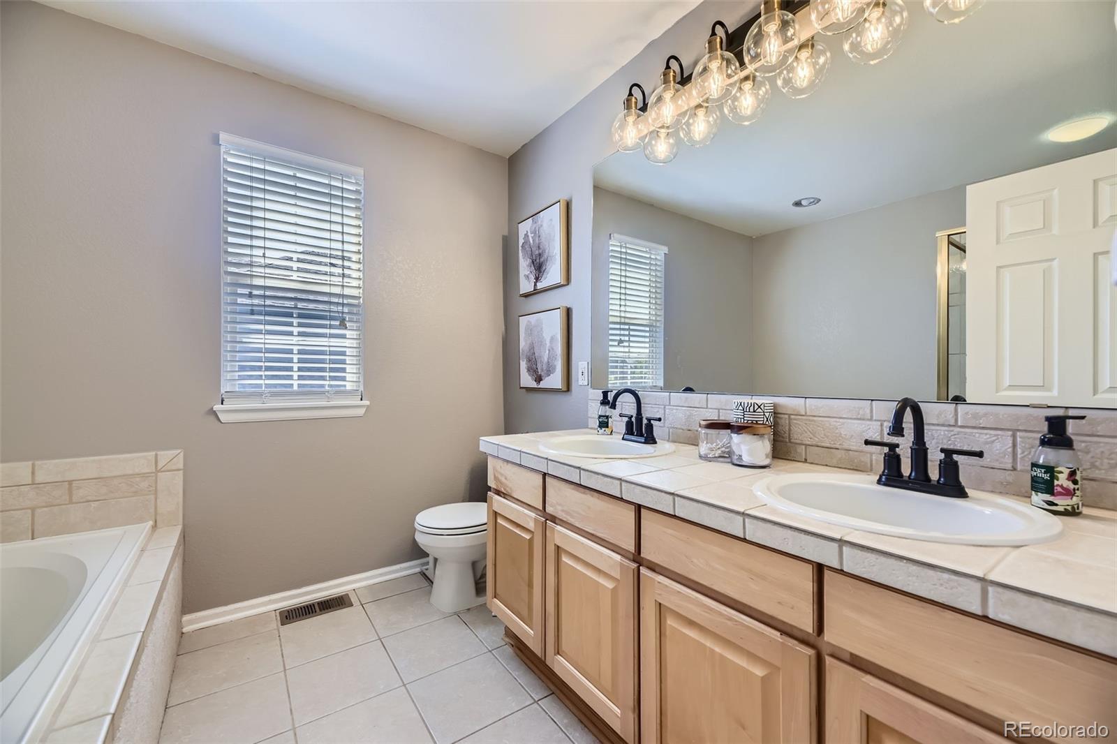 MLS Image #14 for 21223  white ash lane,parker, Colorado