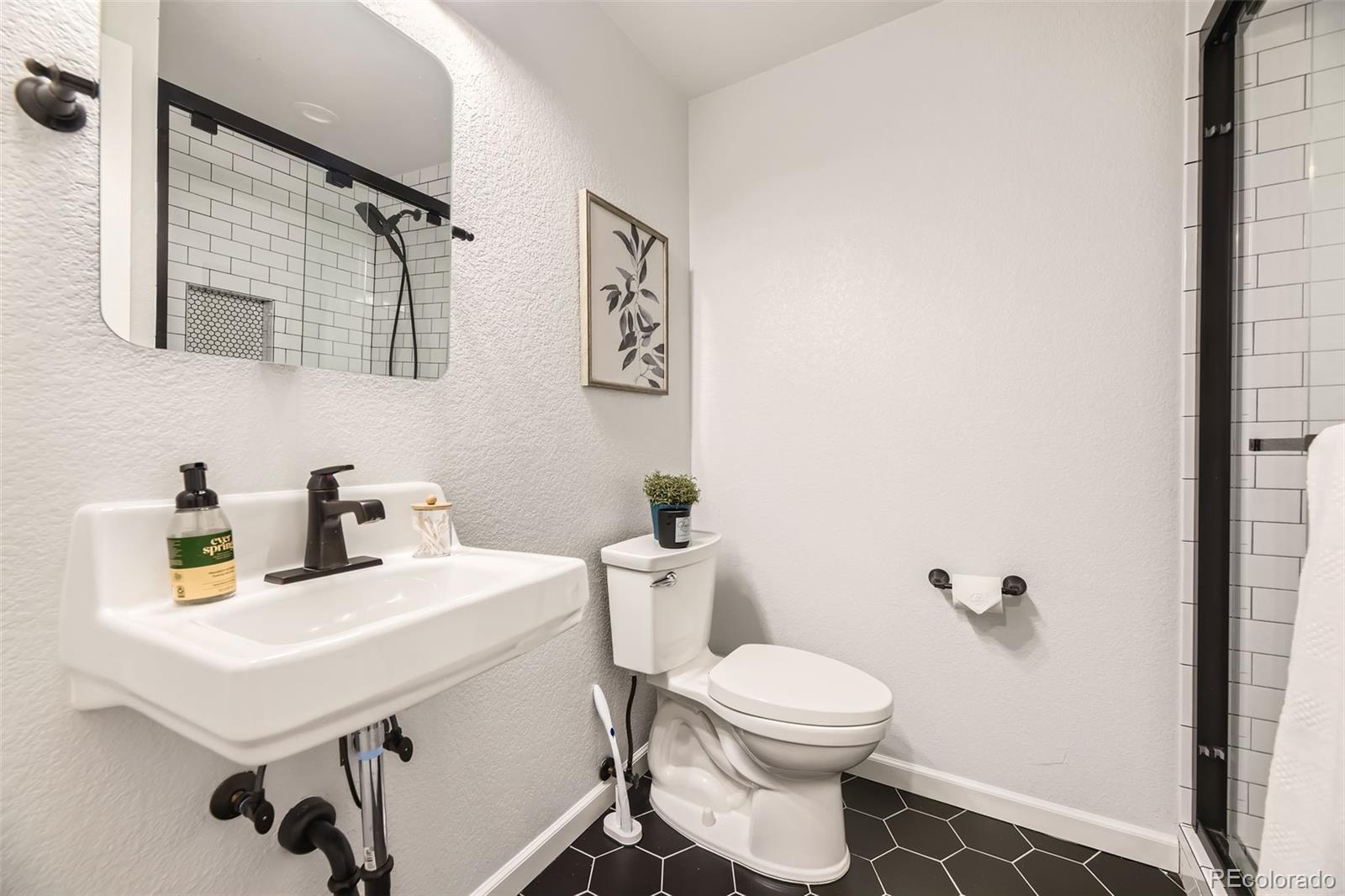 MLS Image #21 for 21223  white ash lane,parker, Colorado