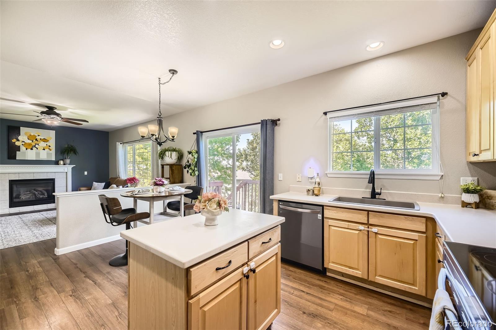 MLS Image #7 for 21223  white ash lane,parker, Colorado