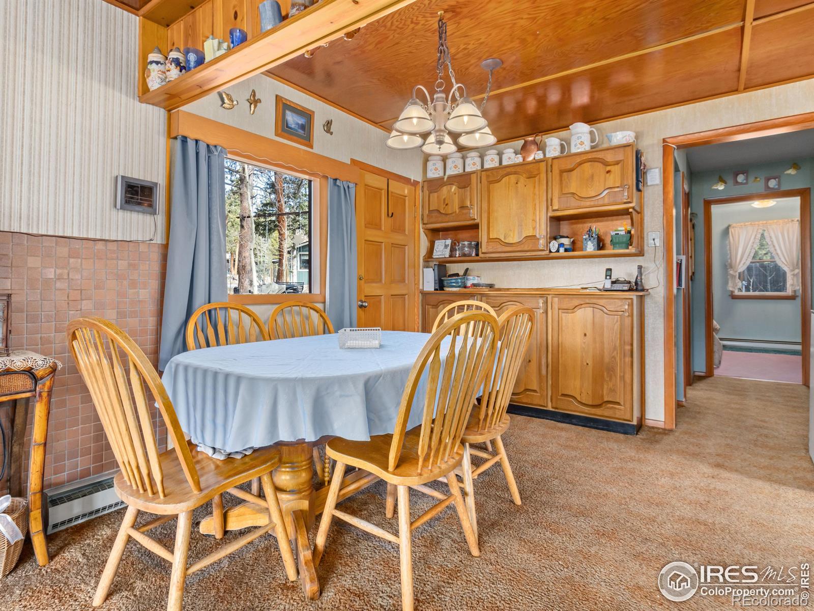 MLS Image #10 for 177  bill waite road,allenspark, Colorado