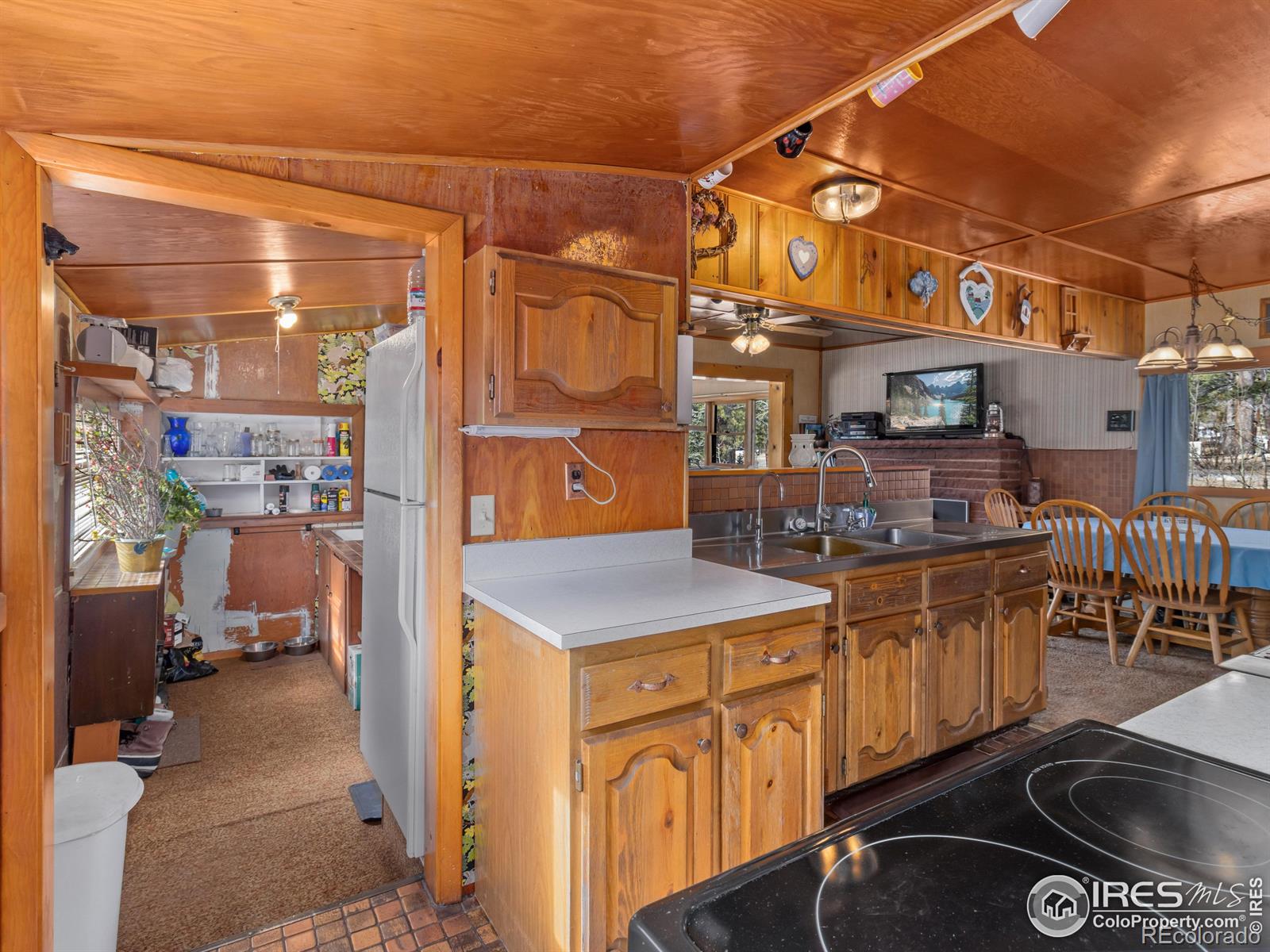 MLS Image #11 for 177  bill waite road,allenspark, Colorado