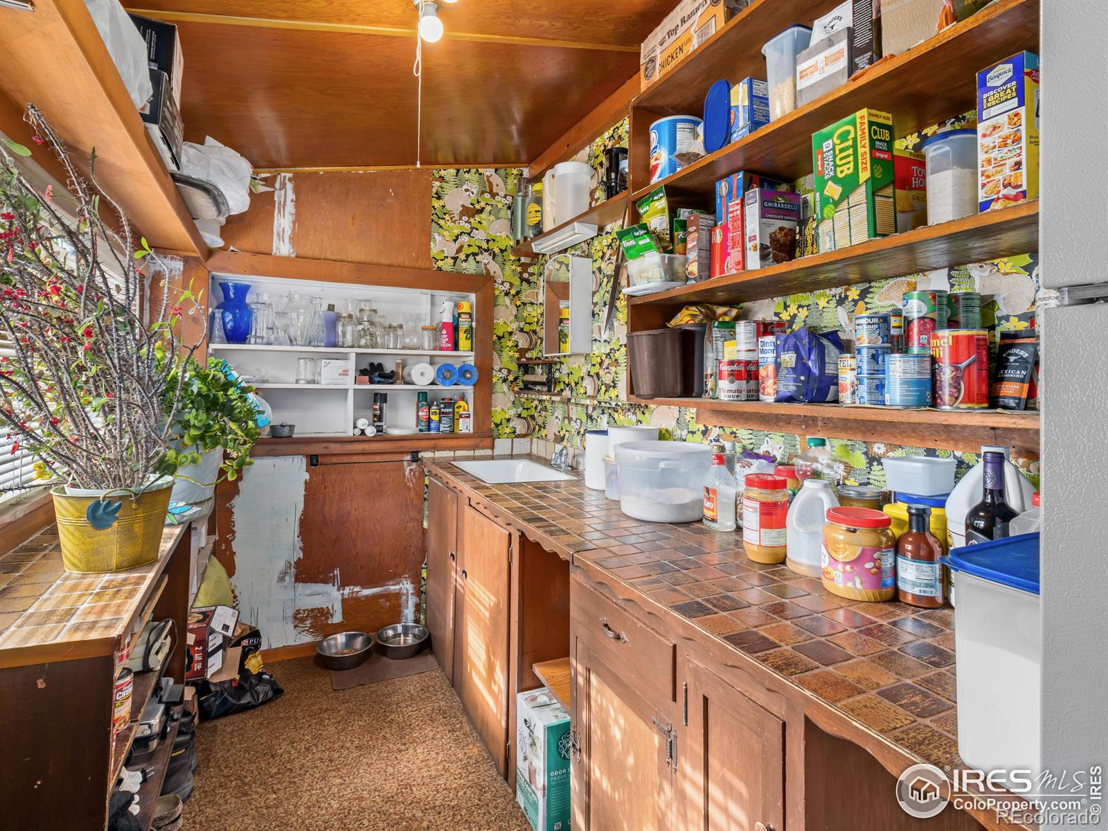 MLS Image #12 for 177  bill waite road,allenspark, Colorado