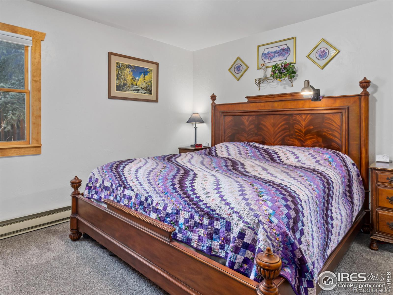 MLS Image #13 for 177  bill waite road,allenspark, Colorado