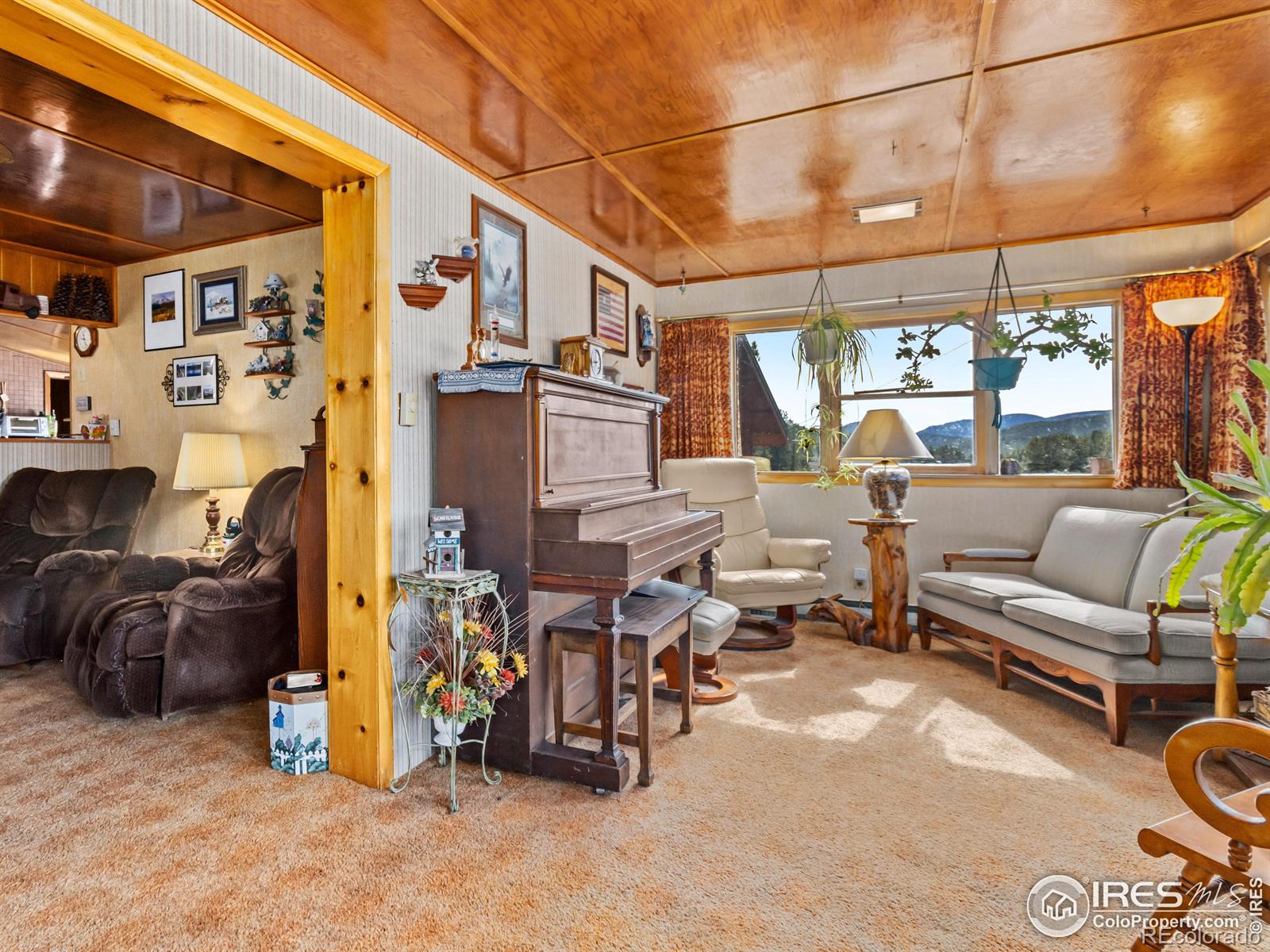 MLS Image #24 for 177  bill waite road,allenspark, Colorado