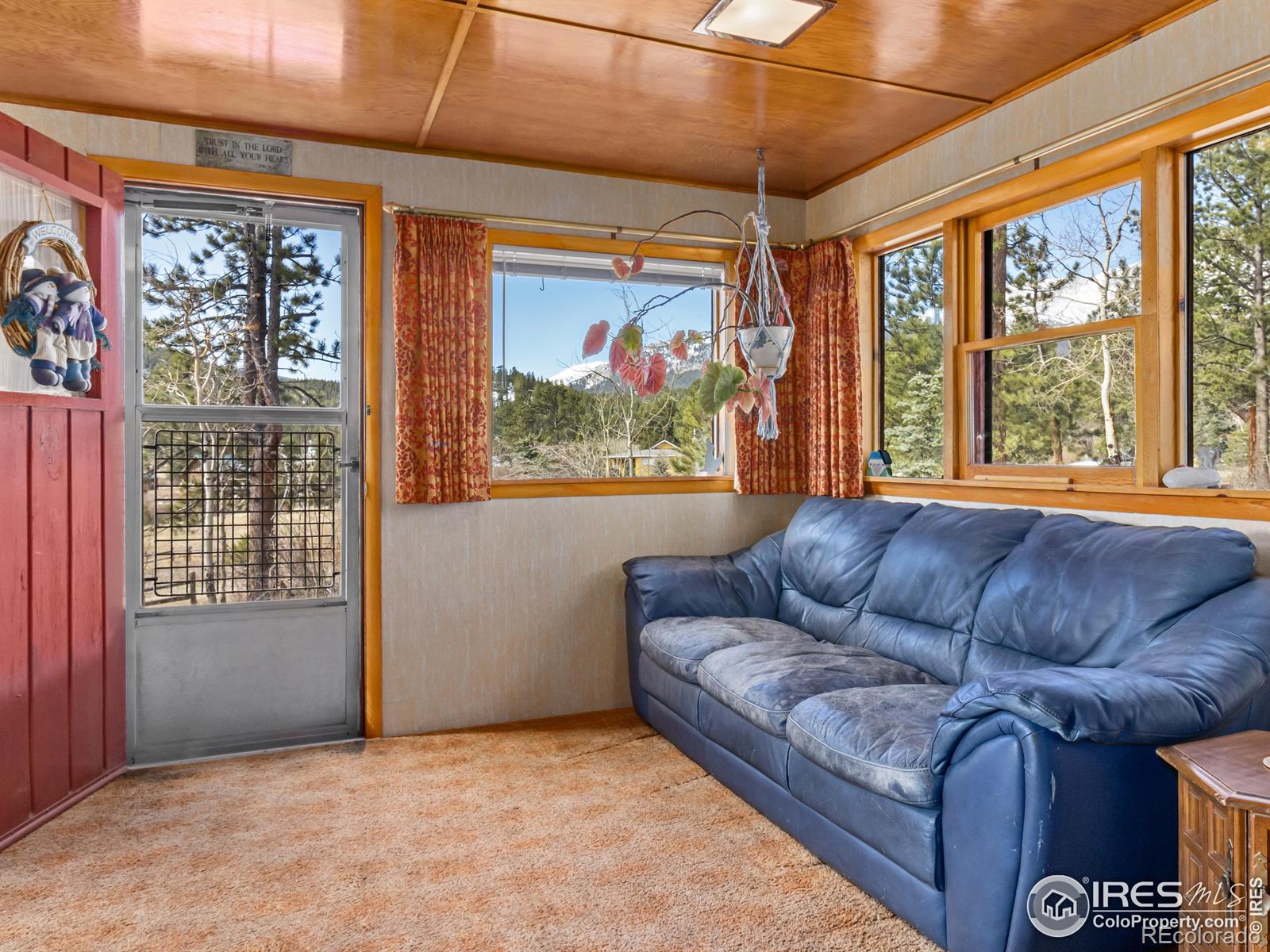 MLS Image #4 for 177  bill waite road,allenspark, Colorado