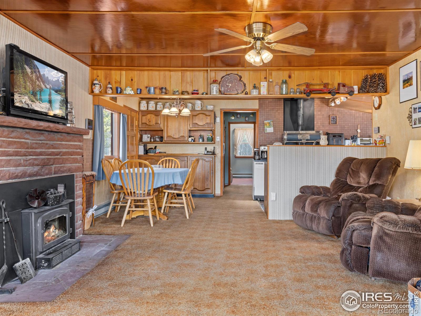 MLS Image #6 for 177  bill waite road,allenspark, Colorado