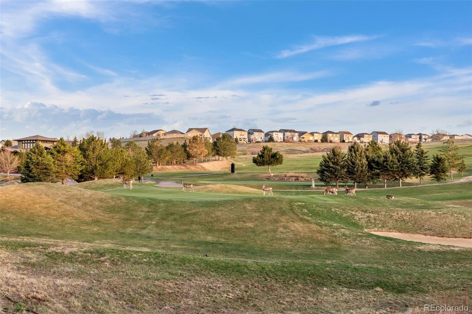 MLS Image #39 for 23101  timber spring lane,parker, Colorado