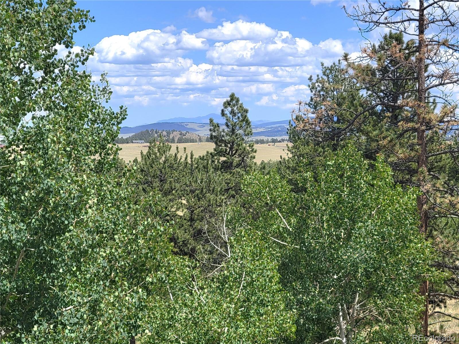 MLS Image #29 for 5076  campfire road,hartsel, Colorado