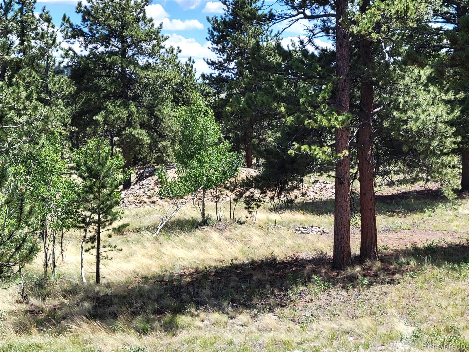 MLS Image #30 for 5076  campfire road,hartsel, Colorado