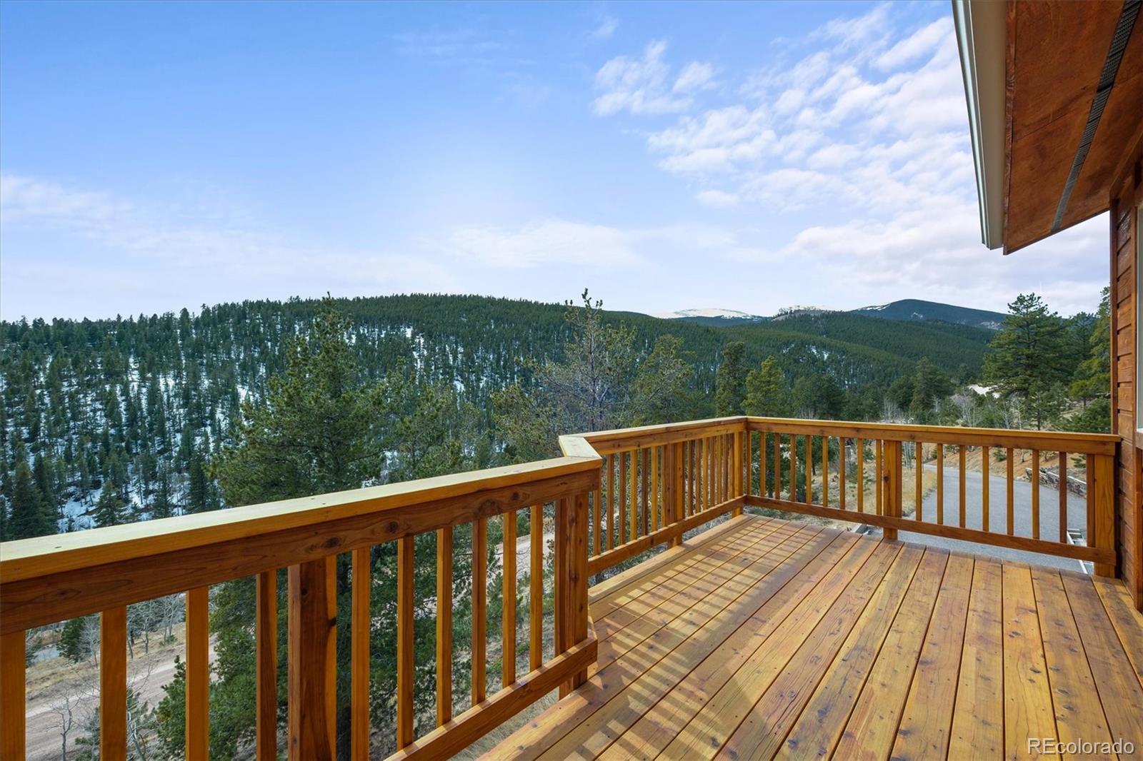 MLS Image #18 for 349  royal ridge drive,bailey, Colorado