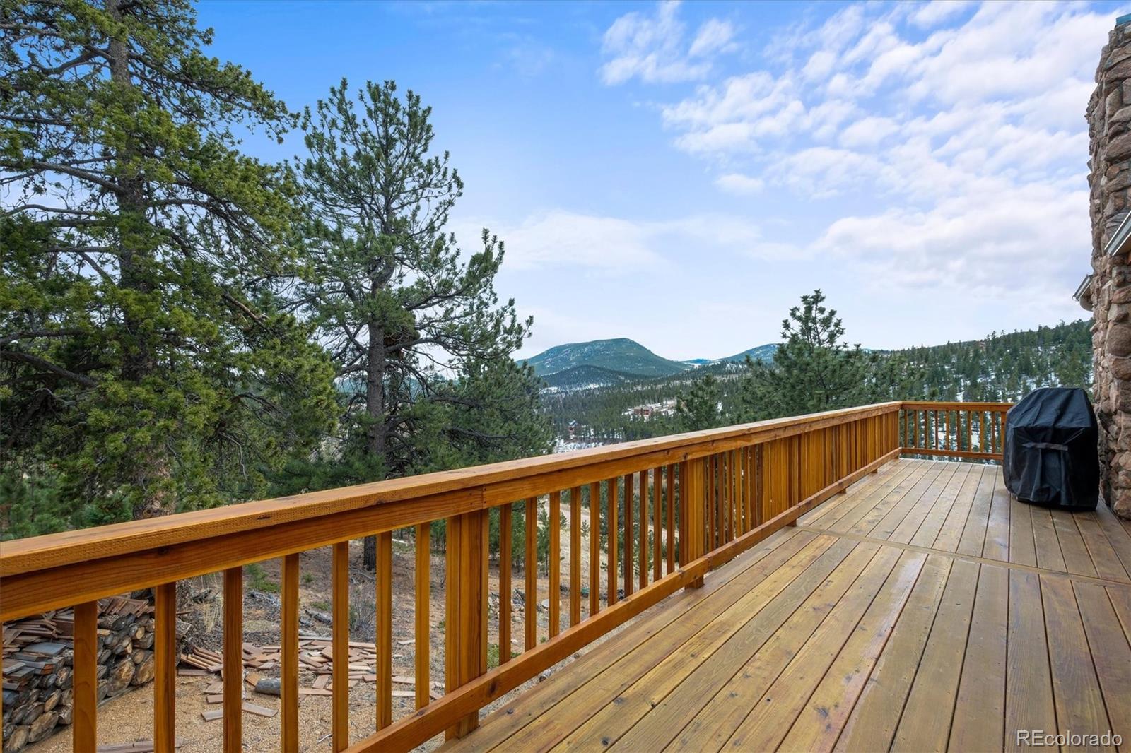 MLS Image #8 for 349  royal ridge drive,bailey, Colorado