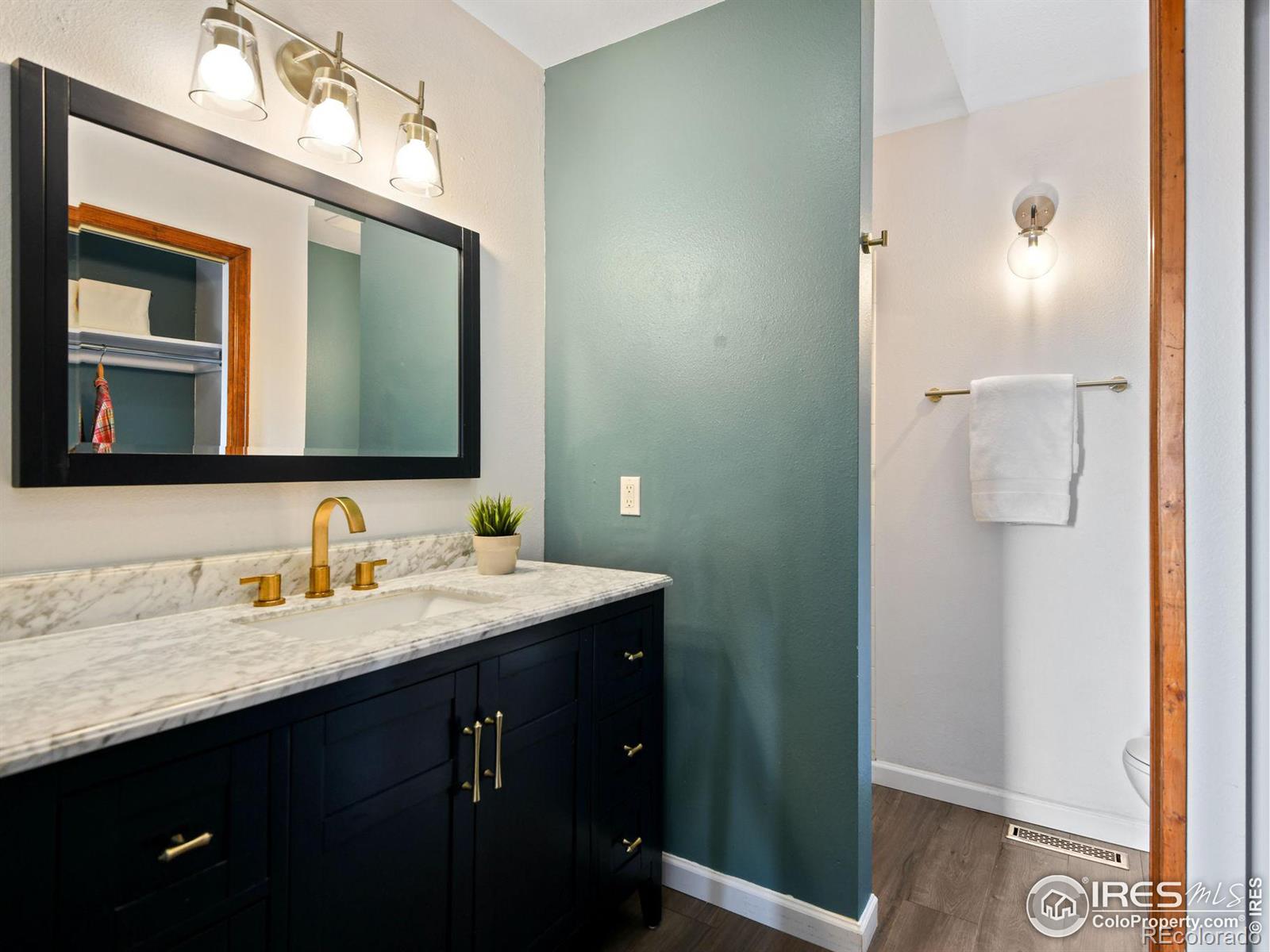 MLS Image #13 for 1935  waters edge street,fort collins, Colorado