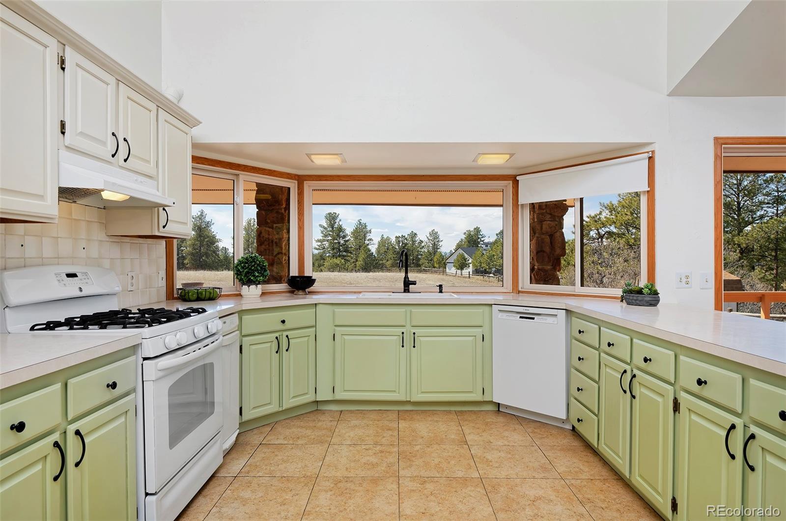 MLS Image #10 for 1340  deerpath trail,franktown, Colorado