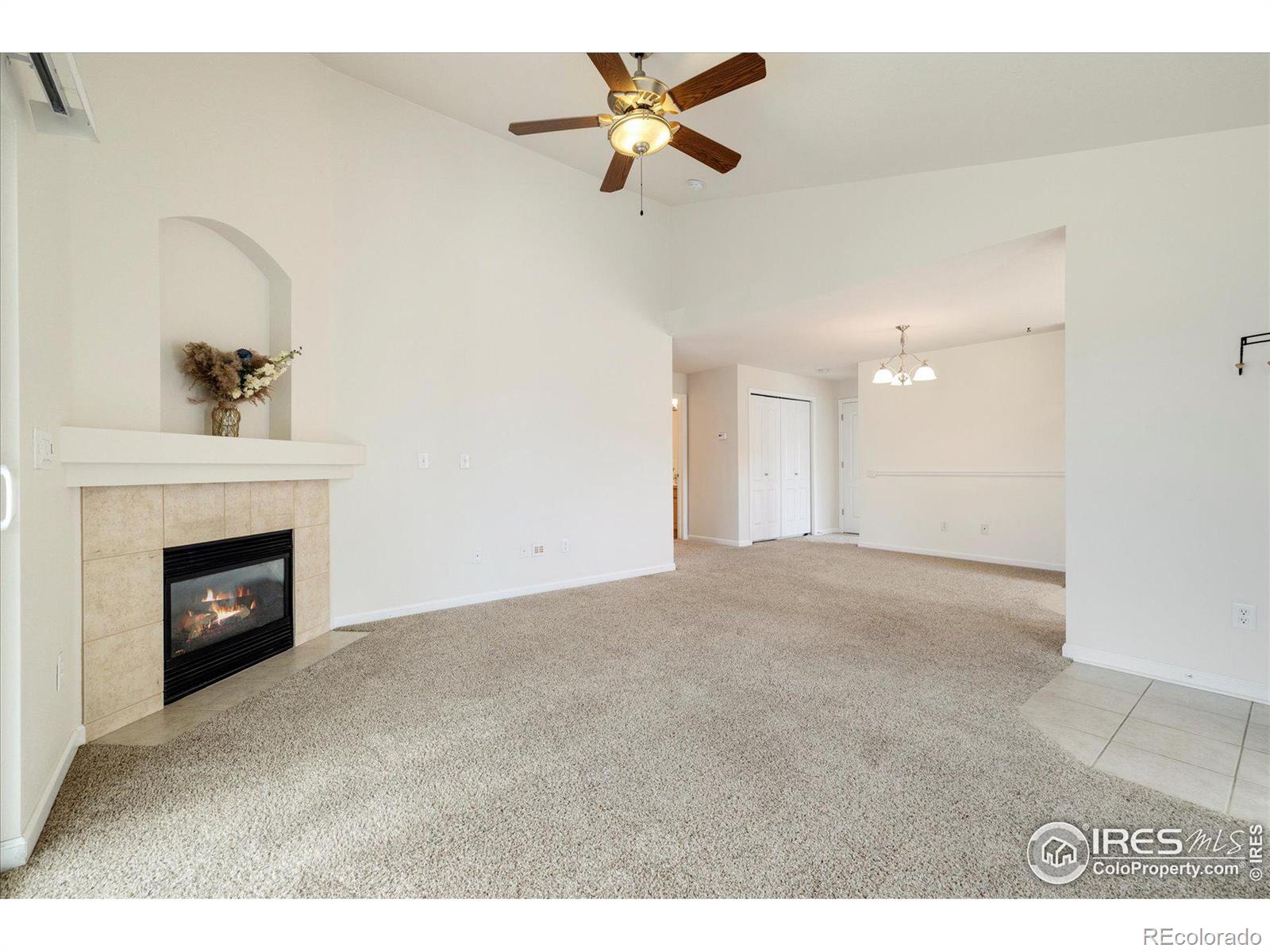 MLS Image #7 for 4615  hahns peak drive,loveland, Colorado