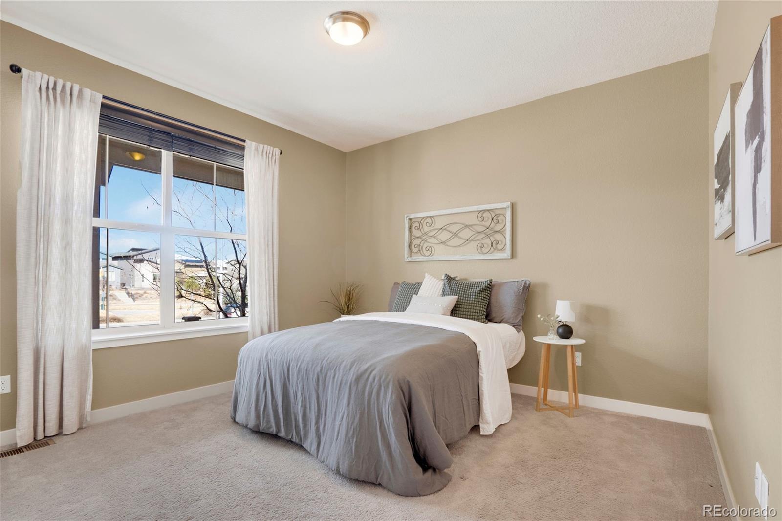 MLS Image #16 for 9772  taylor river circle,littleton, Colorado