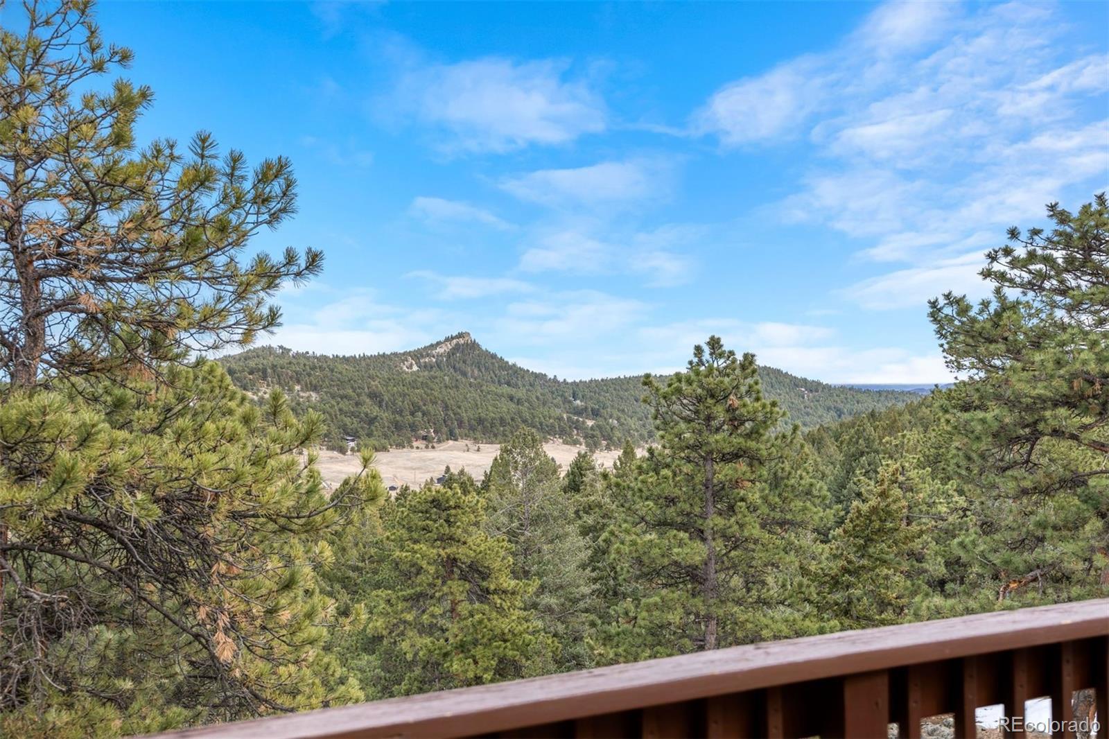 MLS Image #3 for 25019 n mountain park drive,evergreen, Colorado