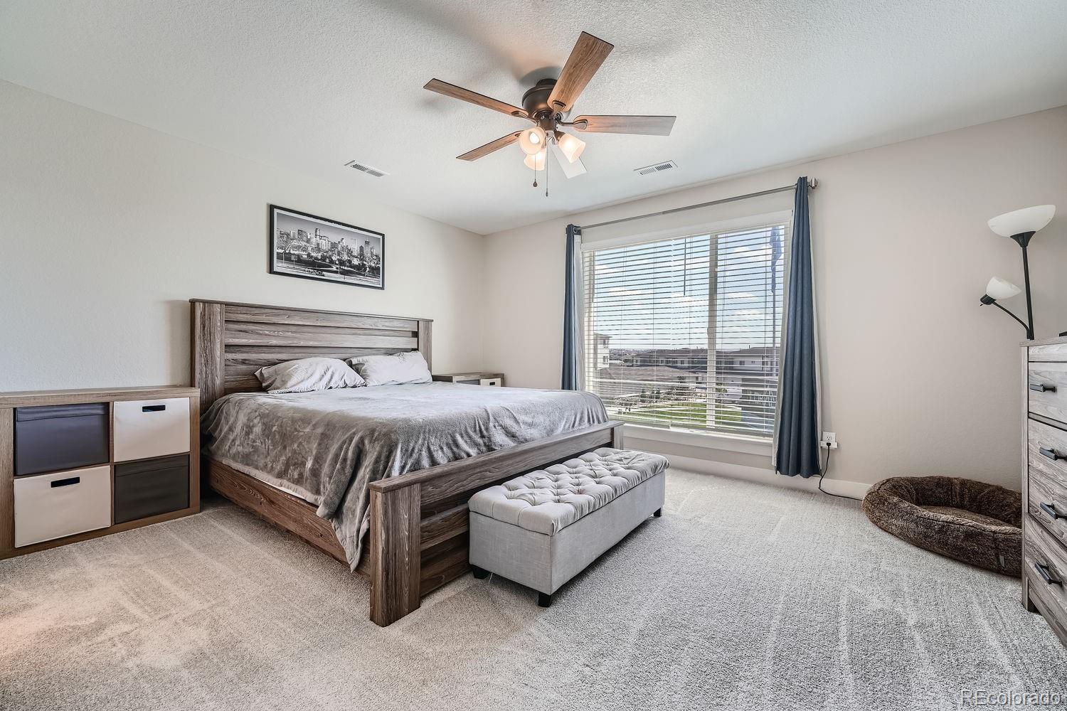MLS Image #14 for 16433  askins loop,parker, Colorado