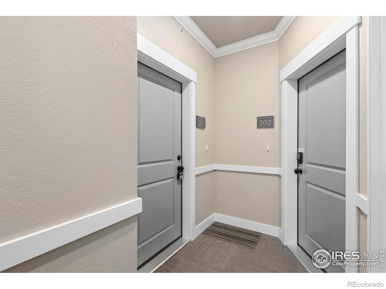 MLS Image #5 for 6556  crystal downs drive,windsor, Colorado