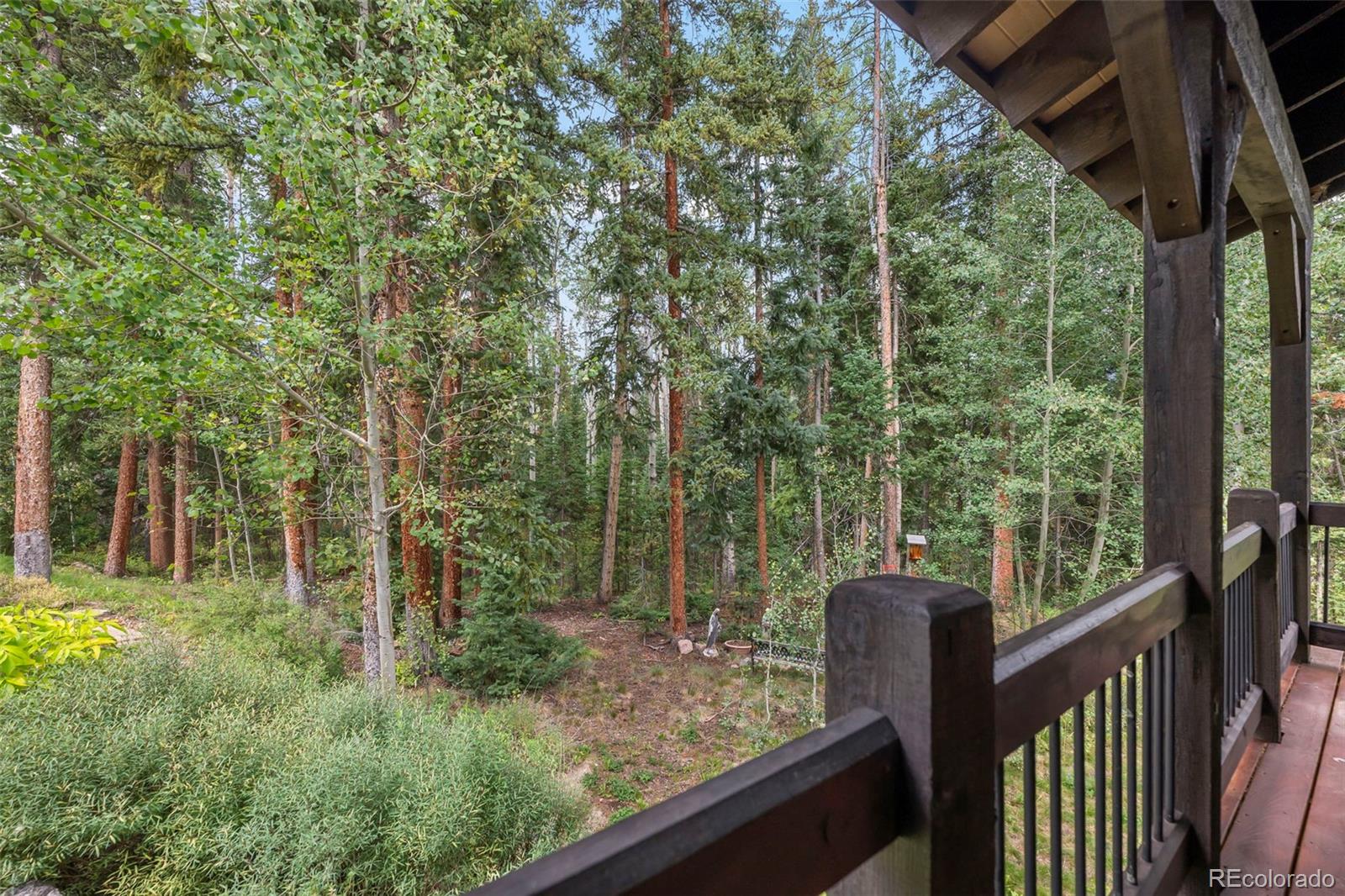 MLS Image #39 for 560  two cabins drive,silverthorne, Colorado