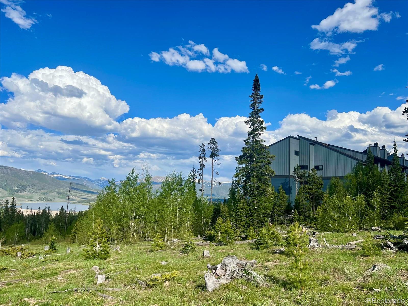 MLS Image #31 for 89410  ryan gulch road,silverthorne, Colorado