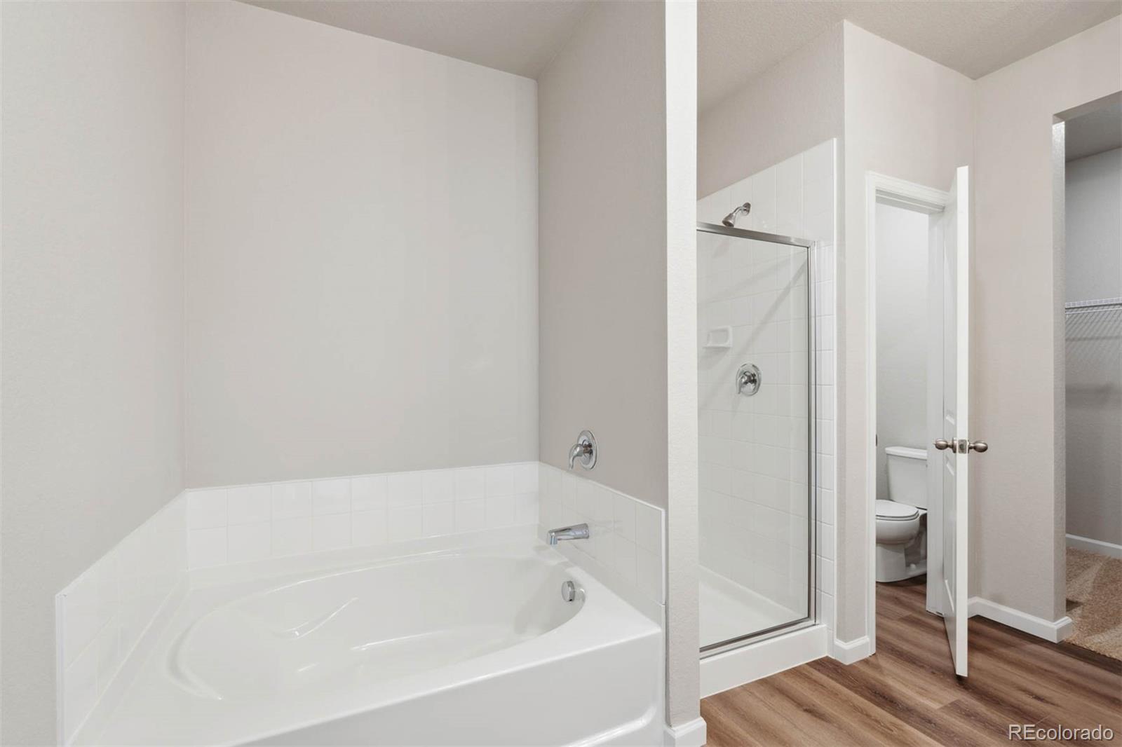 MLS Image #10 for 1055  long meadows street,severance, Colorado