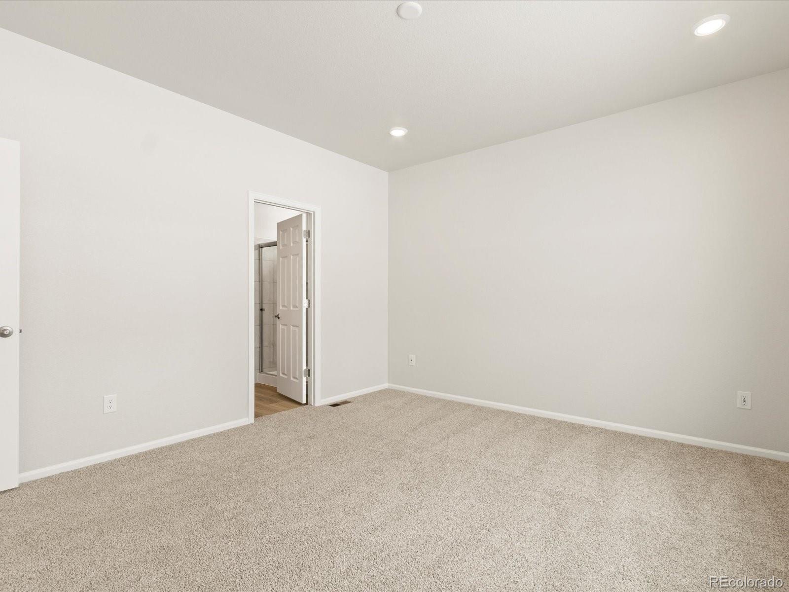 MLS Image #29 for 1638  rumley creek drive,windsor, Colorado