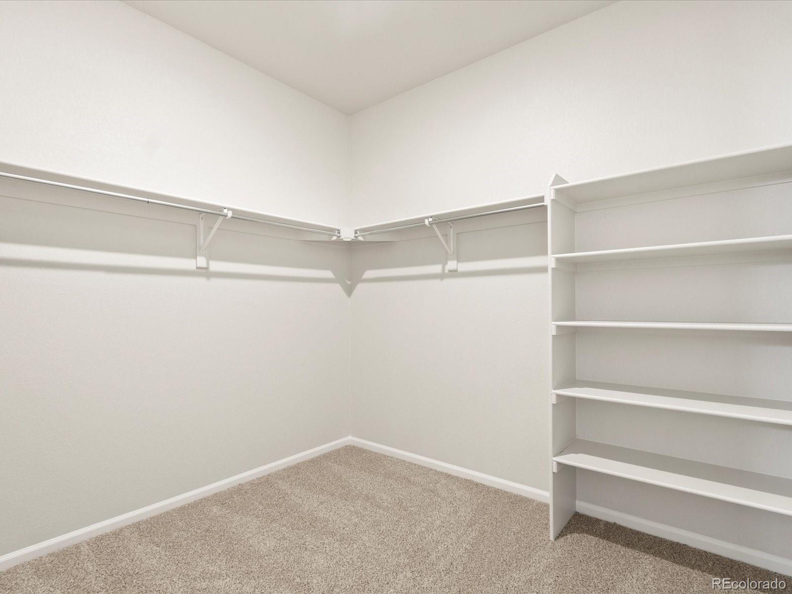 MLS Image #32 for 1638  rumley creek drive,windsor, Colorado