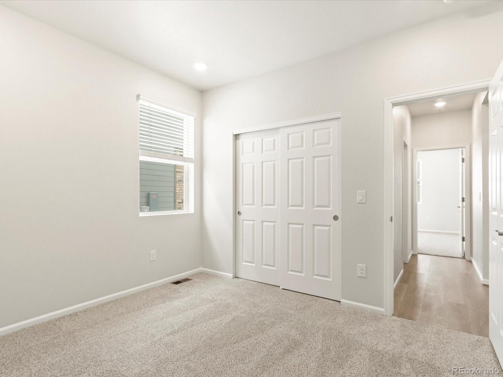 MLS Image #7 for 1638  rumley creek drive,windsor, Colorado