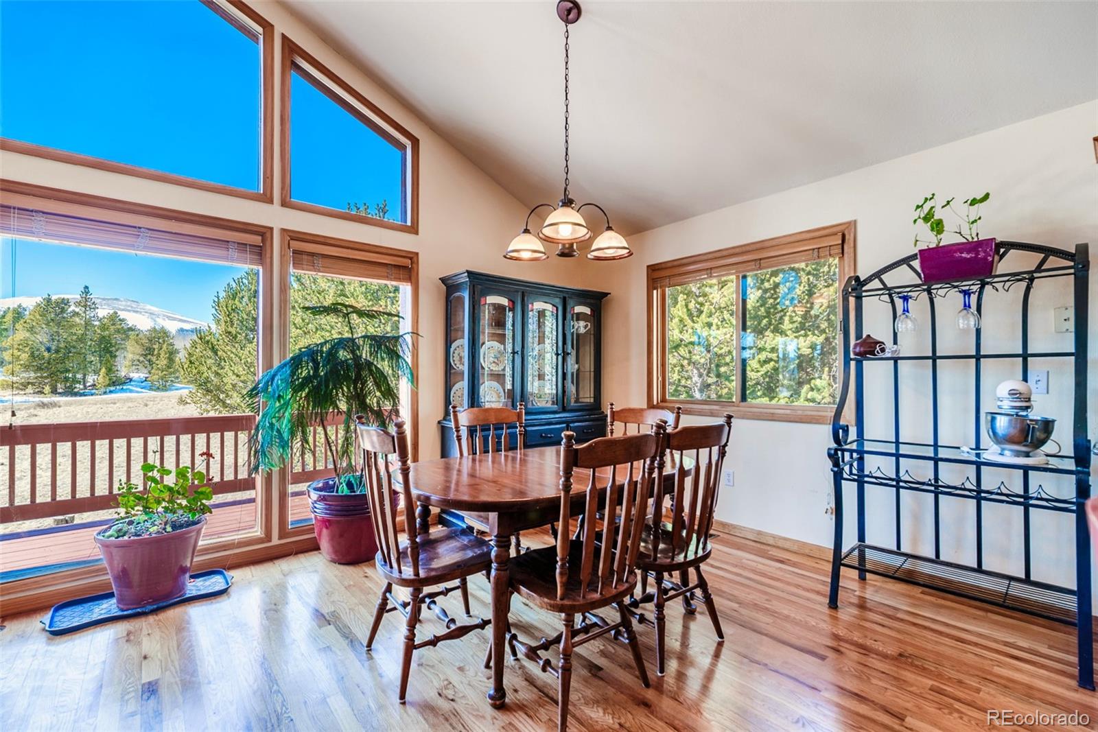 MLS Image #10 for 16  thurber court,fairplay, Colorado