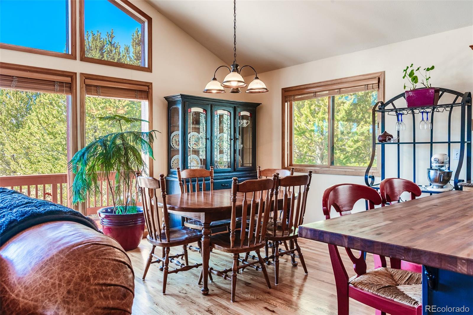 MLS Image #11 for 16  thurber court,fairplay, Colorado