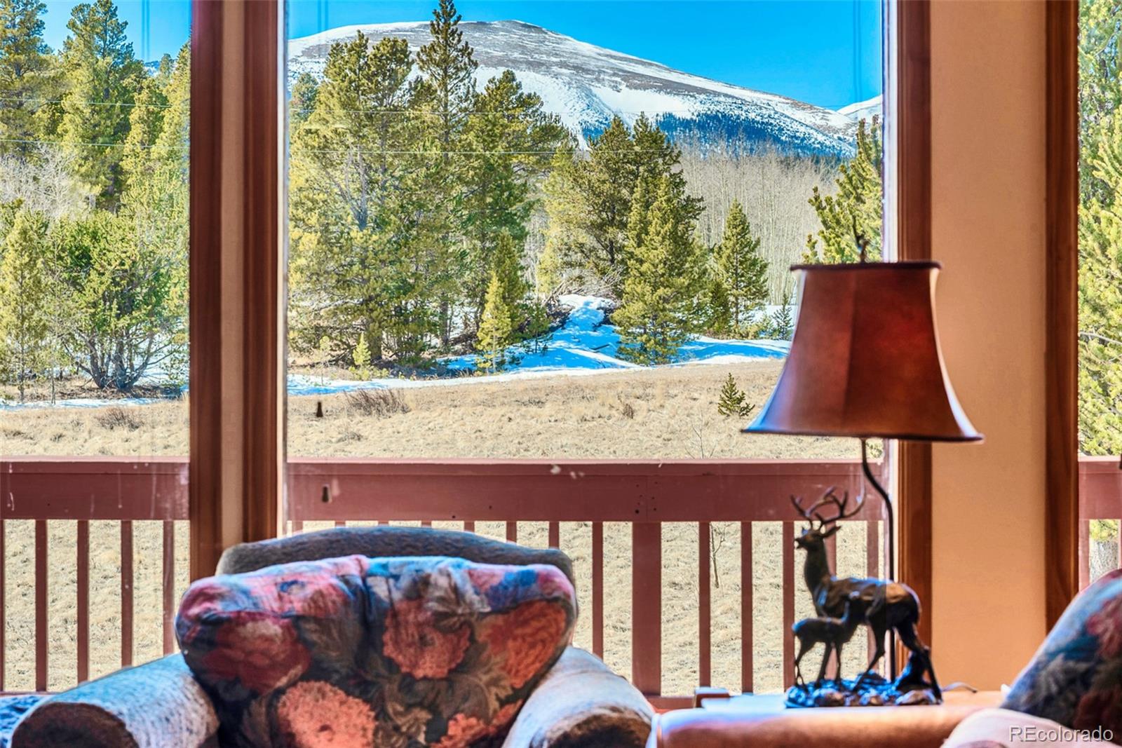 MLS Image #14 for 16  thurber court,fairplay, Colorado