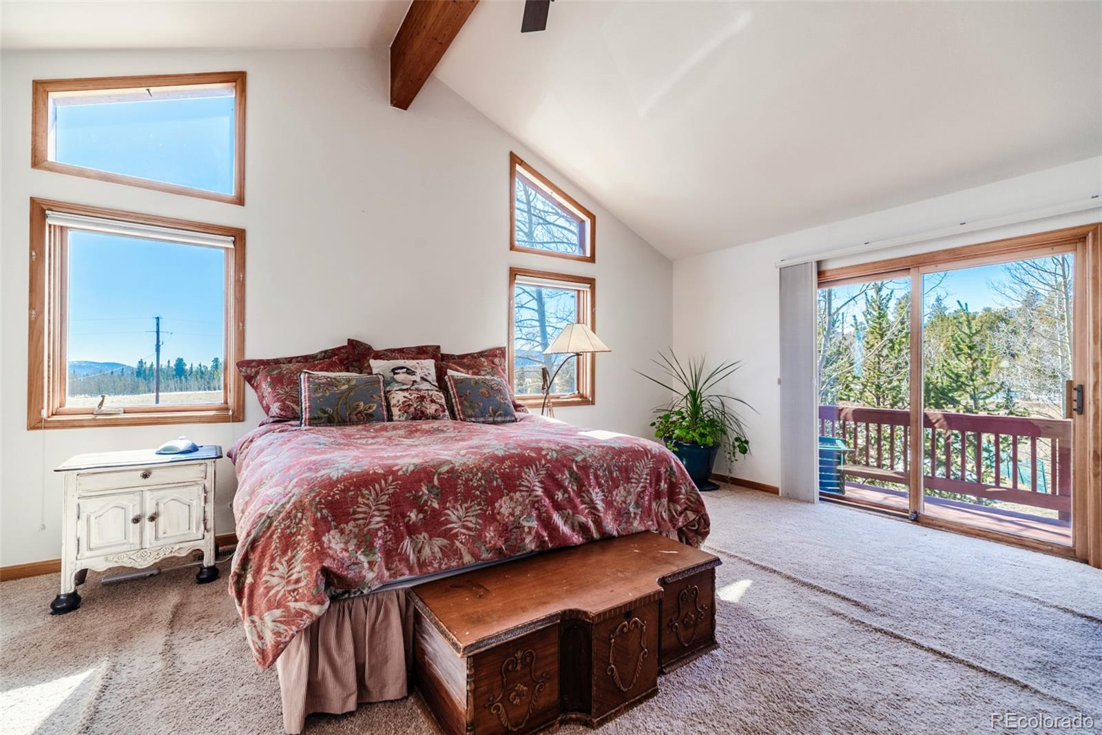 MLS Image #15 for 16  thurber court,fairplay, Colorado
